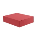 Opakowanie na wypieki 40x30x9 cm, w kolorze czerwonym, dla profesjonalnej gastronomii.webp